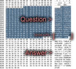 <p>Hexdump of tcp-over-dns packet</p>
